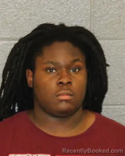 Mugshot of JONAVIN SHYKEEM MCDOWELL booked in Mecklenburg County, North Carolina on July 6, 2026
