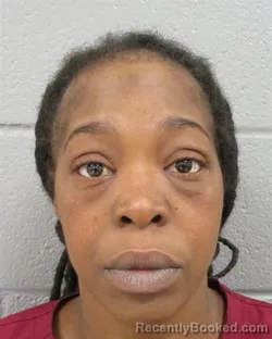 Mugshot of QUINNAISE JA-KISHA HENDERSON booked in Mecklenburg County, North Carolina on July 7, 2026