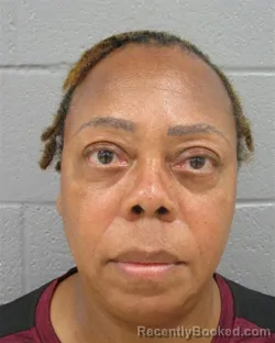 Mugshot of MADELEINE FREDERICK booked in Mecklenburg County, North Carolina on July 7, 2026