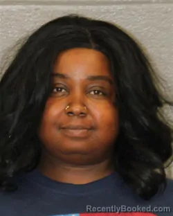 Mugshot of CAMISHA ALNIKA LEWIS booked in Mecklenburg County, North Carolina on July 8, 2026