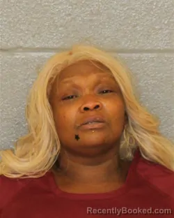 Mugshot of MARGARET LOUISE SMARR booked in Mecklenburg County, North Carolina on July 8, 2026