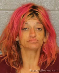 Mugshot of ABAIGAIL MARINA FOWLER booked in Mecklenburg County, North Carolina on July 9, 2026