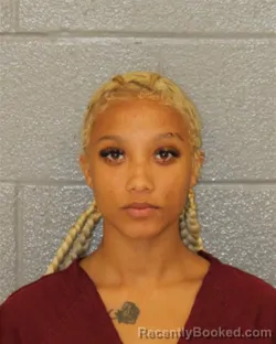 Mugshot of ALYSSA SHANTELL RORIE booked in Mecklenburg County, North Carolina on July 11, 2026