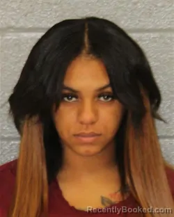 Mugshot of ANISHA NECORIAN CLARK booked in Mecklenburg County, North Carolina on July 11, 2026