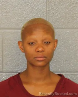 Mugshot of DIANA YAH MESSAH booked in Mecklenburg County, North Carolina on July 11, 2026