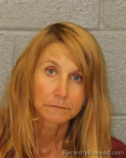 Mugshot of LISA MAYNARD WILAND booked in Mecklenburg County, North Carolina on July 11, 2026