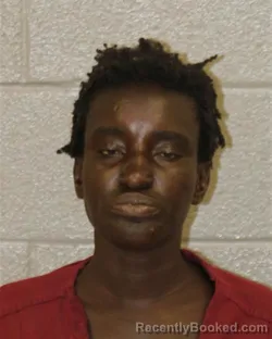 Mugshot of AMINATA TRENNETTA SYLLA booked in Mecklenburg County, North Carolina on July 11, 2026