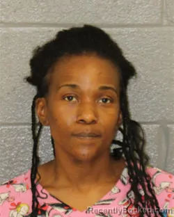 Mugshot of ANTOINETTE DELORIS JOHNSON booked in Mecklenburg County, North Carolina on July 11, 2026