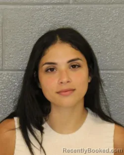 Mugshot of ROUSED BEATRIZ LEBRON-TORRES booked in Mecklenburg County, North Carolina on July 11, 2026