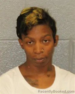 Mugshot of CHANTEL RENEE LINDSAY booked in Mecklenburg County, North Carolina on July 12, 2026