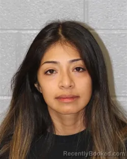 Mugshot of ARELI NOEMA PERU-SILVERIO booked in Mecklenburg County, North Carolina on July 13, 2026