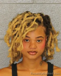Mugshot of HANNAH LOFTON booked in Mecklenburg County, North Carolina on July 13, 2026