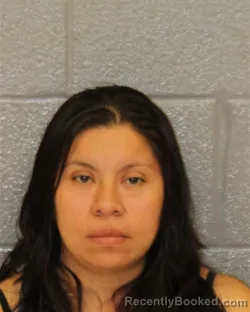 Mugshot of EDELMIRA ANELY VELASQUEZ-MORALES booked in Mecklenburg County, North Carolina on July 13, 2026