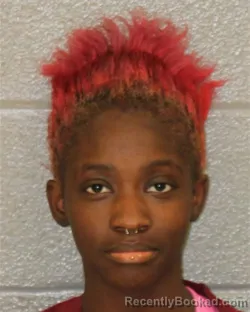 Mugshot of JAKAYLA JANAE JOHNSON booked in Mecklenburg County, North Carolina on July 13, 2026