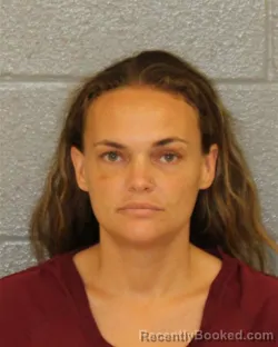 Mugshot of KATHRYN MICHELLE DODSON booked in Mecklenburg County, North Carolina on July 13, 2026