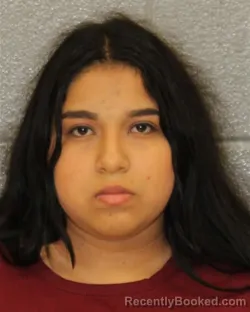 Mugshot of EMELI ORDONEZ GARCIA booked in Mecklenburg County, North Carolina on July 14, 2026