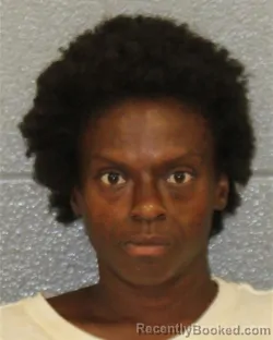 Mugshot of JESSICA RENEE JOHNSON booked in Mecklenburg County, North Carolina on July 14, 2026