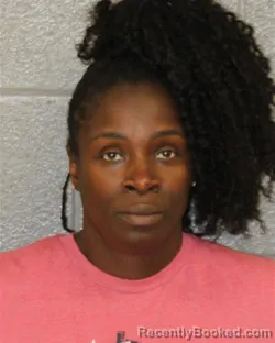 Mugshot of VANESSA CORRINE PERRY booked in Mecklenburg County, North Carolina on July 14, 2026