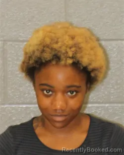 Mugshot of HEAVEN SERENITY WALKER booked in Mecklenburg County, North Carolina on July 14, 2026