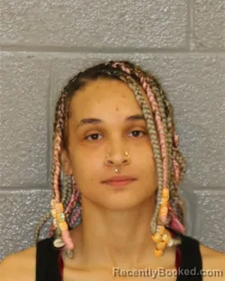 Mugshot of TAYLOR MARIE HECKMAN booked in Mecklenburg County, North Carolina on July 22, 2026
