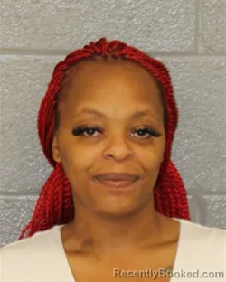 Mugshot of ANUBIYA-ZAIRE FAYALMA TROTTIE booked in Mecklenburg County, North Carolina on July 22, 2026