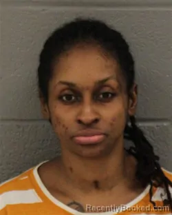 Mugshot of Teena Marie Houston booked in Mecklenburg County, North Carolina on August 5, 2026