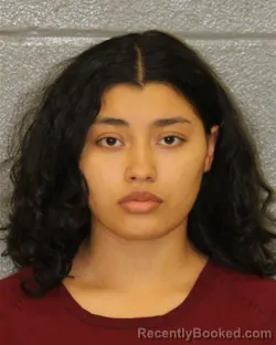 Mugshot of Alison Gisell Salinas booked in Mecklenburg County, North Carolina on August 5, 2026