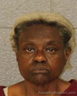 Mugshot of Elvira Alexander booked in Mecklenburg County, North Carolina on August 5, 2026