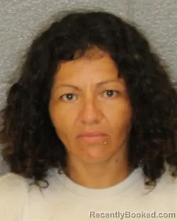 Mugshot of Fabiola Machado-Sanchez booked in Mecklenburg County, North Carolina on August 5, 2026
