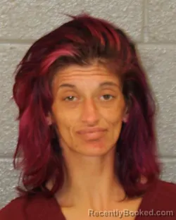 Mugshot of Abaigail Marina Fowler booked in Mecklenburg County, North Carolina on August 6, 2026