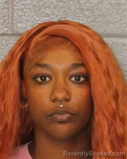 Mugshot of Ja'leeia Yachelle-Marie Ervin booked in Mecklenburg County, North Carolina on August 7, 2026