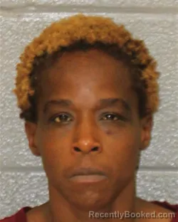 Mugshot of Sandra Lashawn Allen booked in Mecklenburg County, North Carolina on August 8, 2026