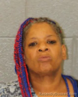 Mugshot of Michelle Elaine Pressley booked in Mecklenburg County, North Carolina on August 9, 2026
