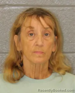 Mugshot of Dawn Elaine Elsea booked in Mecklenburg County, North Carolina on August 10, 2026