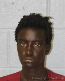 Mugshot of Aminata Trennetta Sylla booked in Mecklenburg County, North Carolina on August 10, 2026
