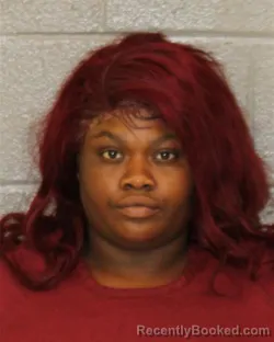 Mugshot of Corsana Hudson booked in Mecklenburg County, North Carolina on August 11, 2026