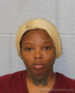 Mugshot of Jalaya Lashae Mcdonald booked in Mecklenburg County, North Carolina on August 10, 2026