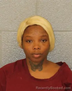 Mugshot of Jalaya Lashae Mcdonald booked in Mecklenburg County, North Carolina on August 10, 2026