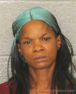 Mugshot of Tameka Denise Morrow booked in Mecklenburg County, North Carolina on August 11, 2026