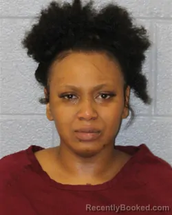 Mugshot of Brittany Sade Mcknight booked in Mecklenburg County, North Carolina on August 13, 2026
