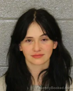 Mugshot of Ashley Marie Marisco booked in Mecklenburg County, North Carolina on August 16, 2026