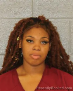Mugshot of Jolette Kristina Akins booked in Mecklenburg County, North Carolina on August 16, 2026