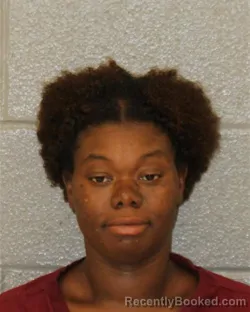 Mugshot of Devena Georganna Clarke booked in Mecklenburg County, North Carolina on August 16, 2026