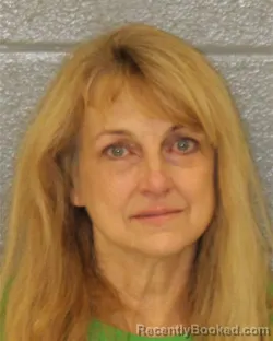 Mugshot of Debbie Lee Plessinger booked in Mecklenburg County, North Carolina on August 18, 2026