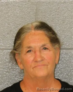 Mugshot of Lisa Ann Brown booked in Mecklenburg County, North Carolina on August 19, 2026
