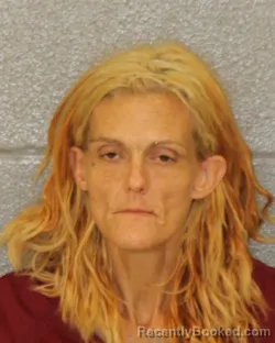 Mugshot of Kendall Lynne Wentz booked in Mecklenburg County, North Carolina on August 20, 2026