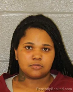 Mugshot of Destyni Nicole Bridges booked in Mecklenburg County, North Carolina on August 20, 2026