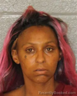 Mugshot of Cheyenne Adriana Hines booked in Mecklenburg County, North Carolina on August 21, 2026
