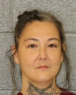 Mugshot of Decima Choi-Strickland booked in Mecklenburg County, North Carolina on August 21, 2026