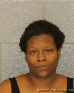 Mugshot of Afrika Racheal Johnson booked in Mecklenburg County, North Carolina on August 23, 2026